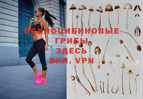 винт Пестово