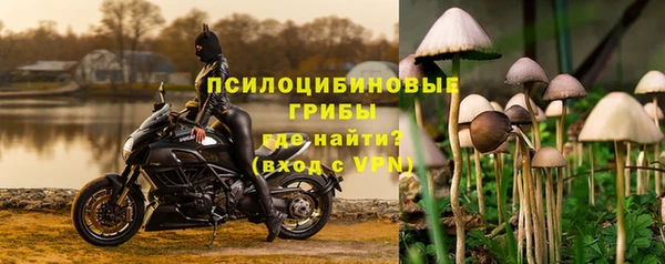 бошки Алзамай