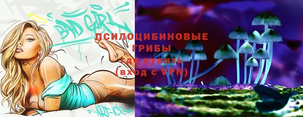 дживик Абаза