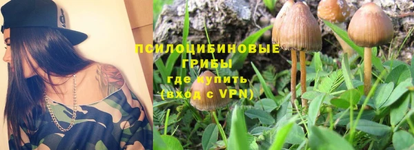 ПСИЛОЦИБИНОВЫЕ ГРИБЫ Алексин