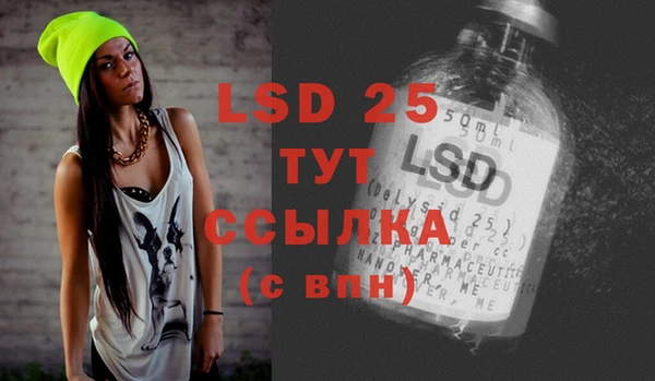 ПСИЛОЦИБИНОВЫЕ ГРИБЫ Алексин