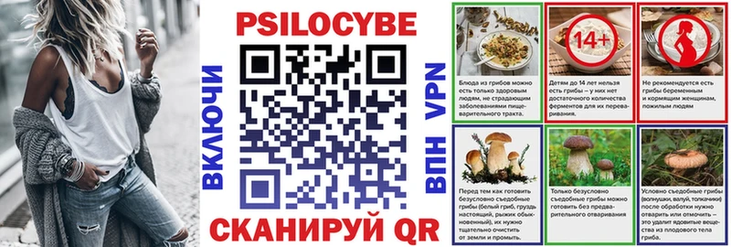 Галлюциногенные грибы MAGIC MUSHROOMS  где купить наркотик  Мосальск 
